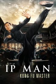 Ip Man: Kung Fu Master